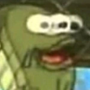 Meet your Posher, Dalton